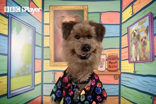 CBBC star Hacker the Dog to appear at Carlisle Comic Con