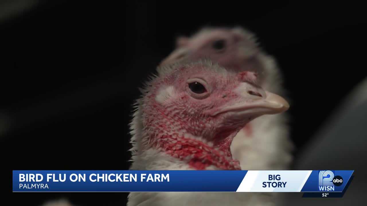 Bird flu identified in Walworth County