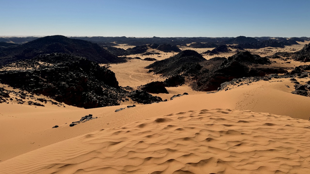 Chinese scientists use microbes to turn desert sand into fertile soil