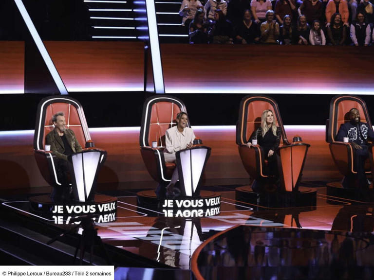The Voice 2026 : Qui sont les coachs de la saison 15