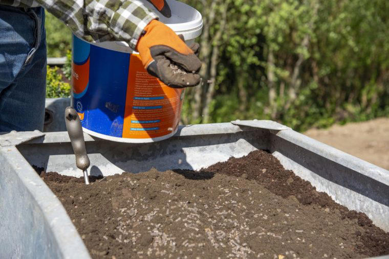 An expert’s guide to feeding garden plants this spring