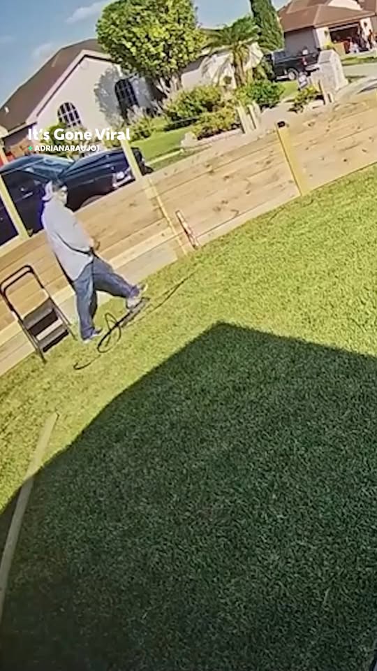 Karen won't respect the property line
