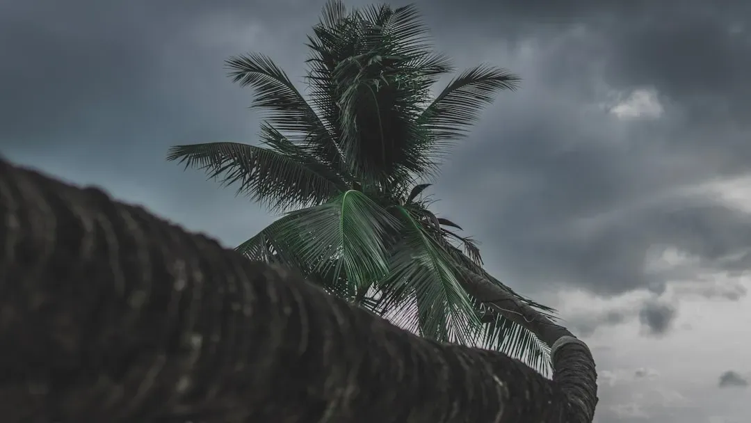The storm pattern reset: Why 2026 climate shifts may change hurricane ...