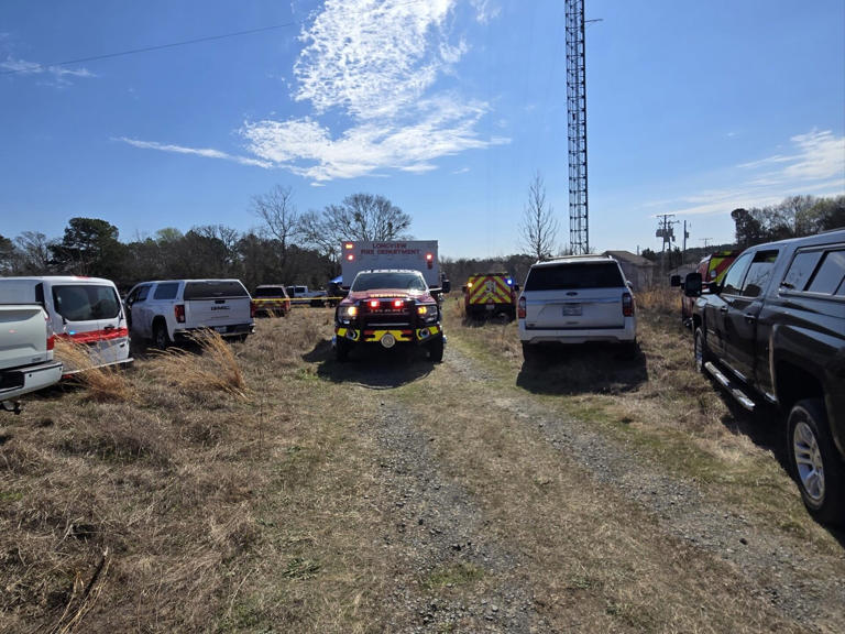 Two people rescued from hot air balloon after collision with ...