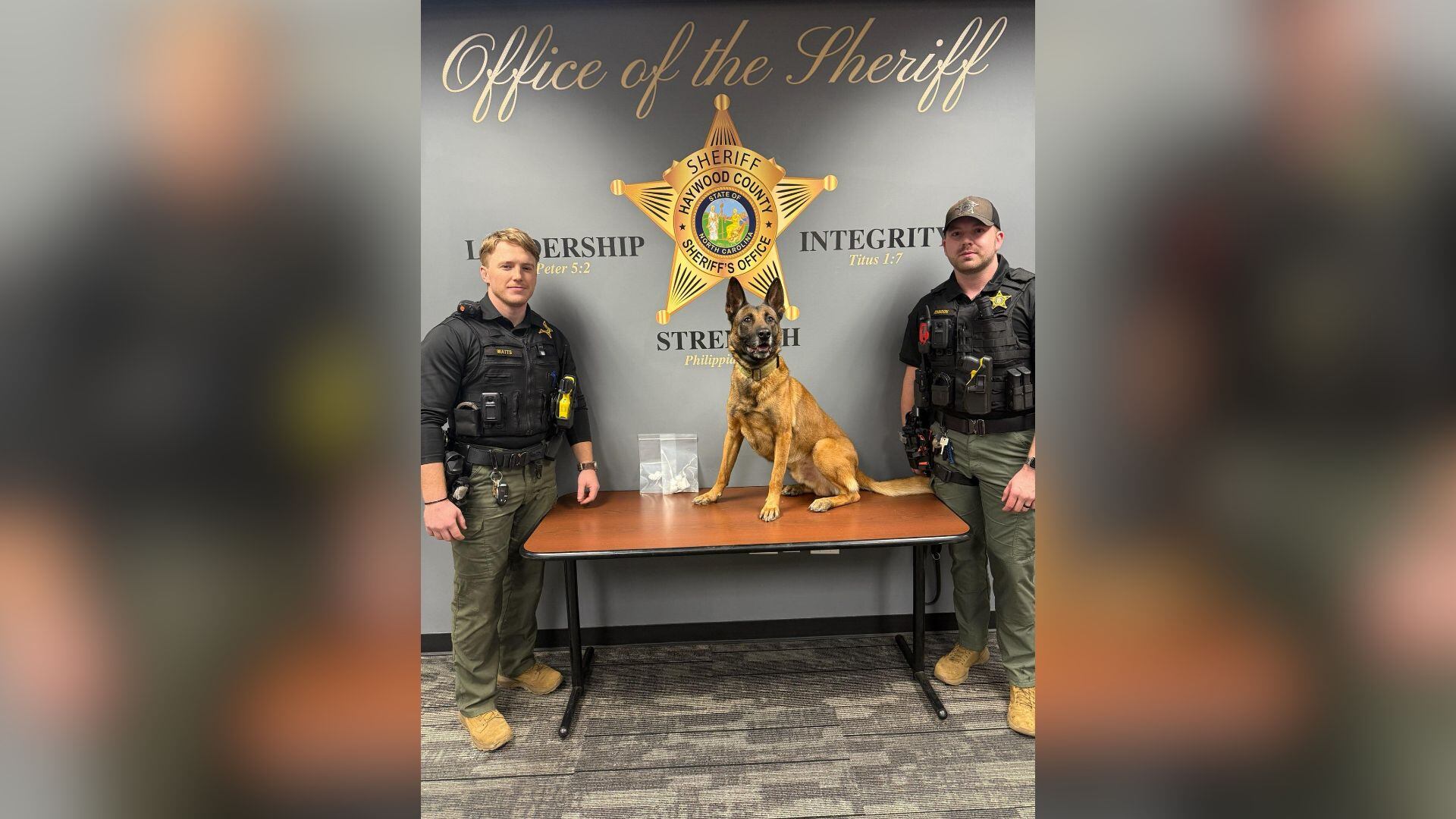 Deputies: Traffic stop leads to seizure of fentanyl, drug trafficking ...