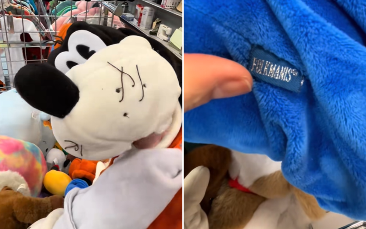 Man thrifts Disney plush, word on label sparks realization he hit jackpot