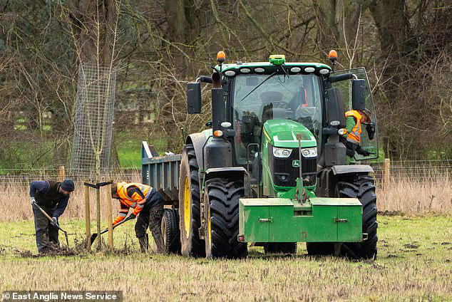 Huge pile of sticking manure is dumped just 200 yards from Andrew's new ...