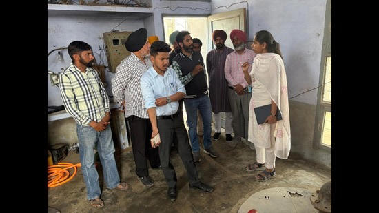 Suspected jaundice outbreak in Ferozepur: Dead pigeons, rodent waste in ...