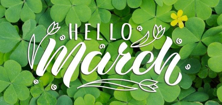 Hello March 2026: Beautiful spring wishes, inspiring quotes and fresh ...