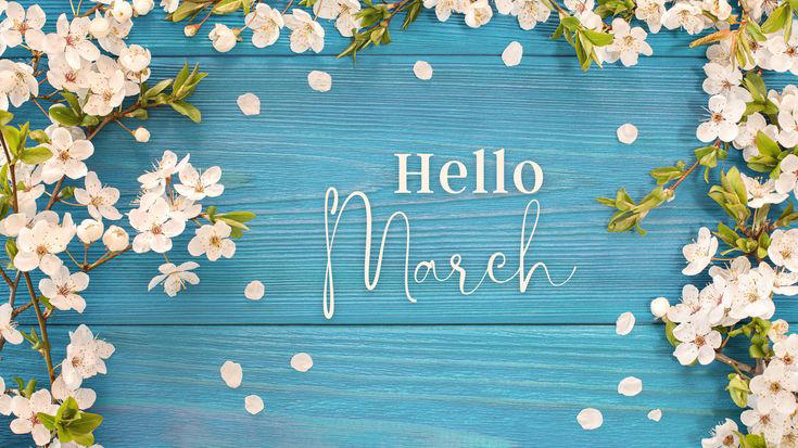 Hello March 2026: Beautiful spring wishes, inspiring quotes and fresh ...
