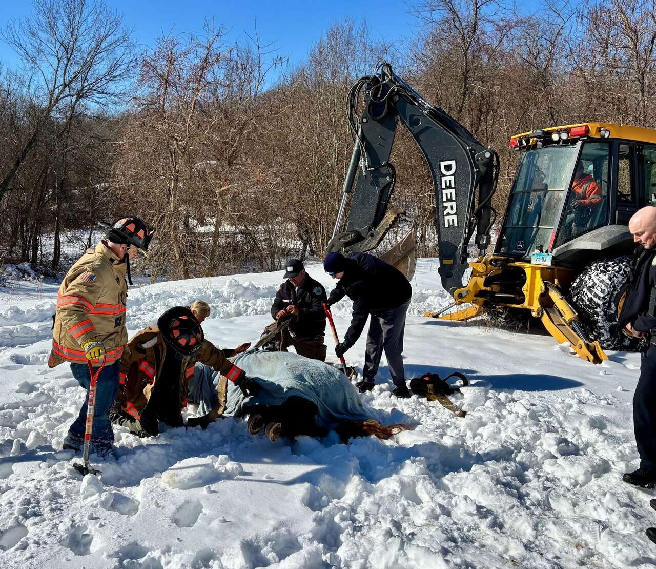 Oxford town agencies team up to rescue fallen horse, fire crew says<br><br>