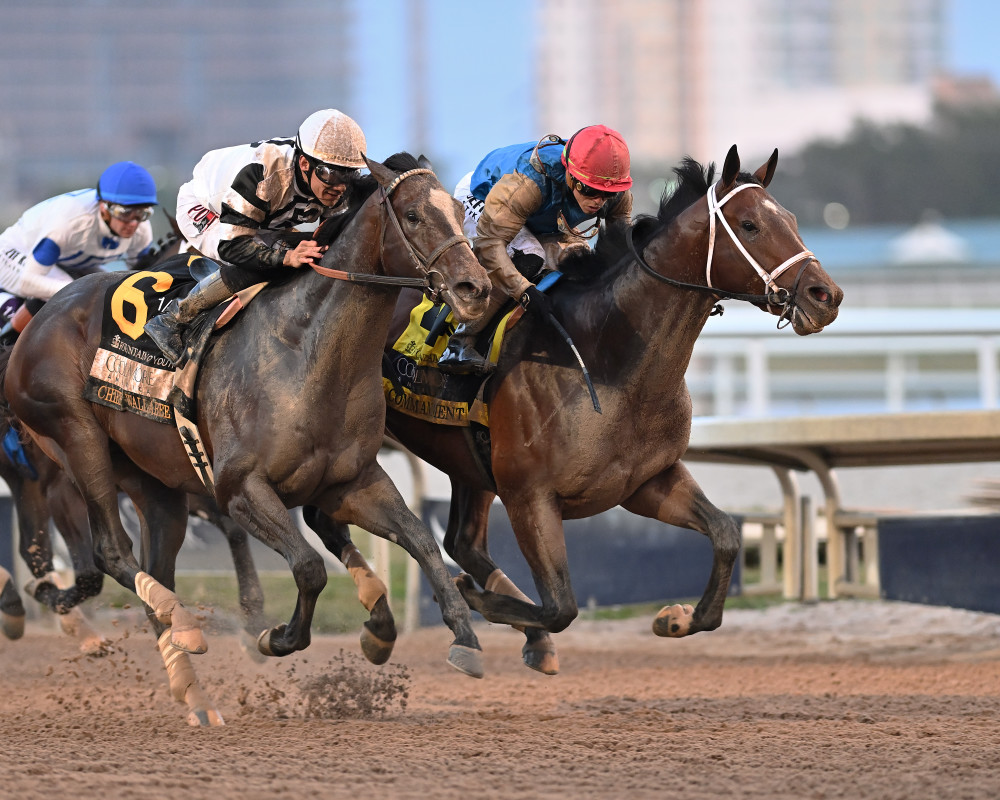 Commandment moves into second in NTRA top 3-year-old rankings