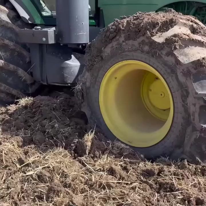 Preparing the land for success