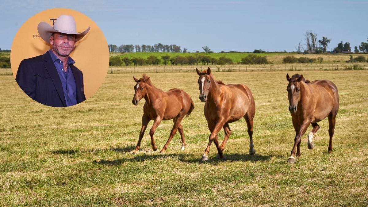 Taylor Sheridan's Bosque Ranch is stunning - and you can visit