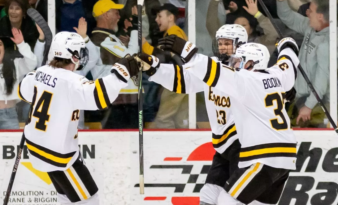 Hockey roundup: Northville's Michaels scores Broncos' OT goal; Griffins ...