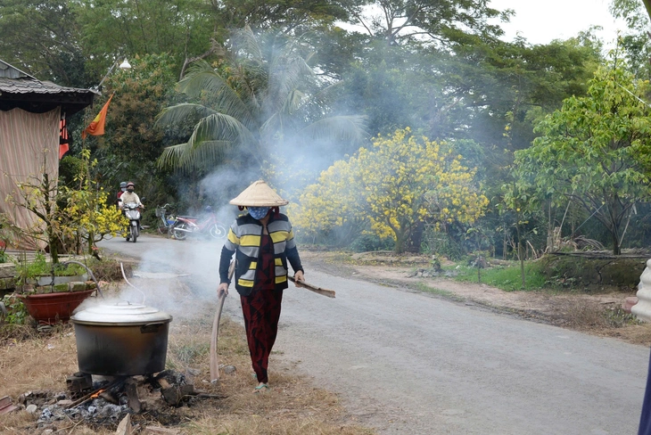 Mùa hoa nở muộn