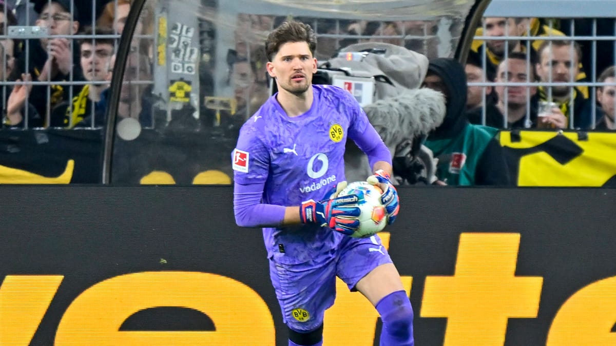 Nationalspieler fällt ab, Bestnote für einen BVB-Profi