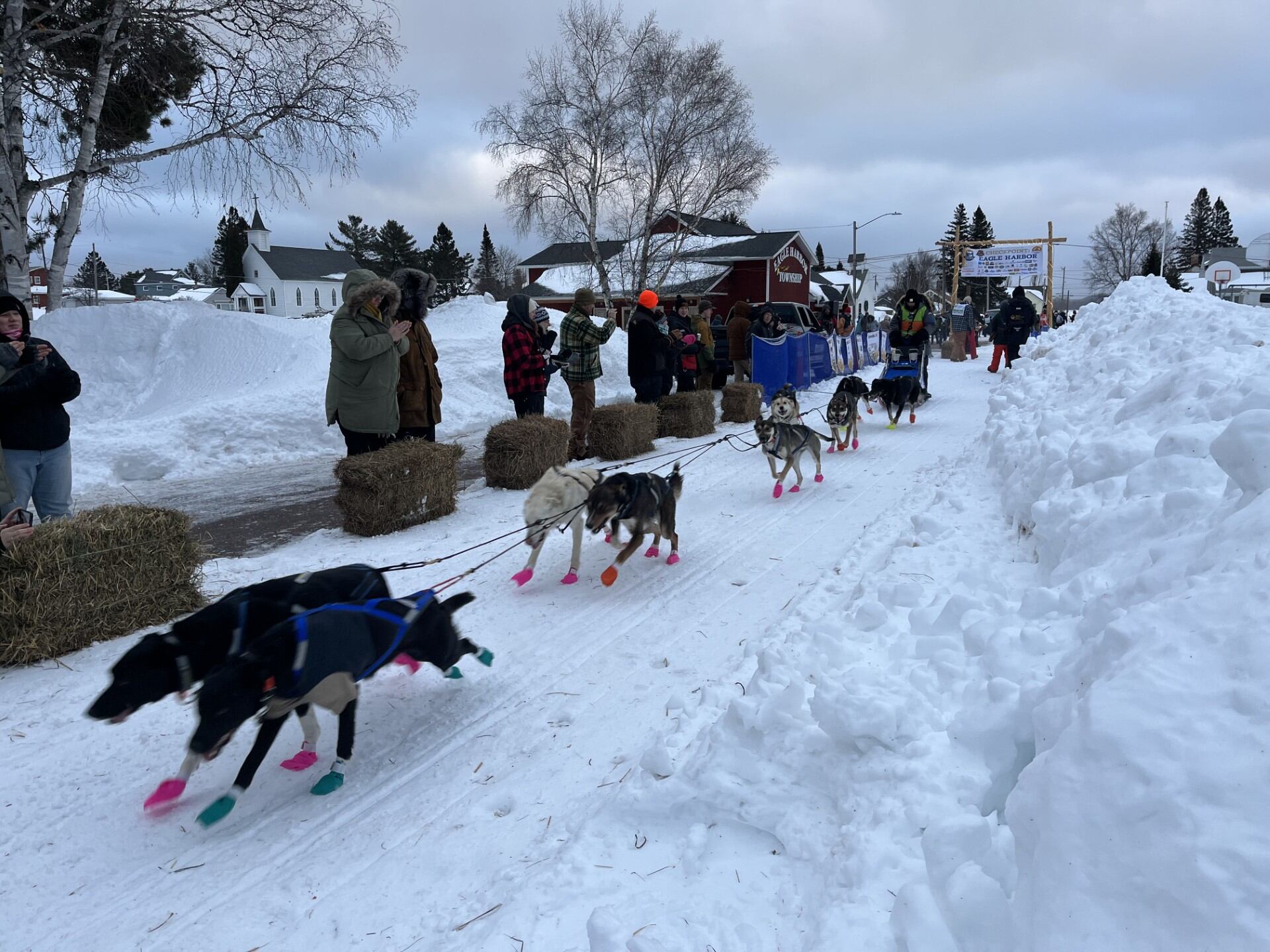 CopperDog race celebrates all kinds of dog breeds