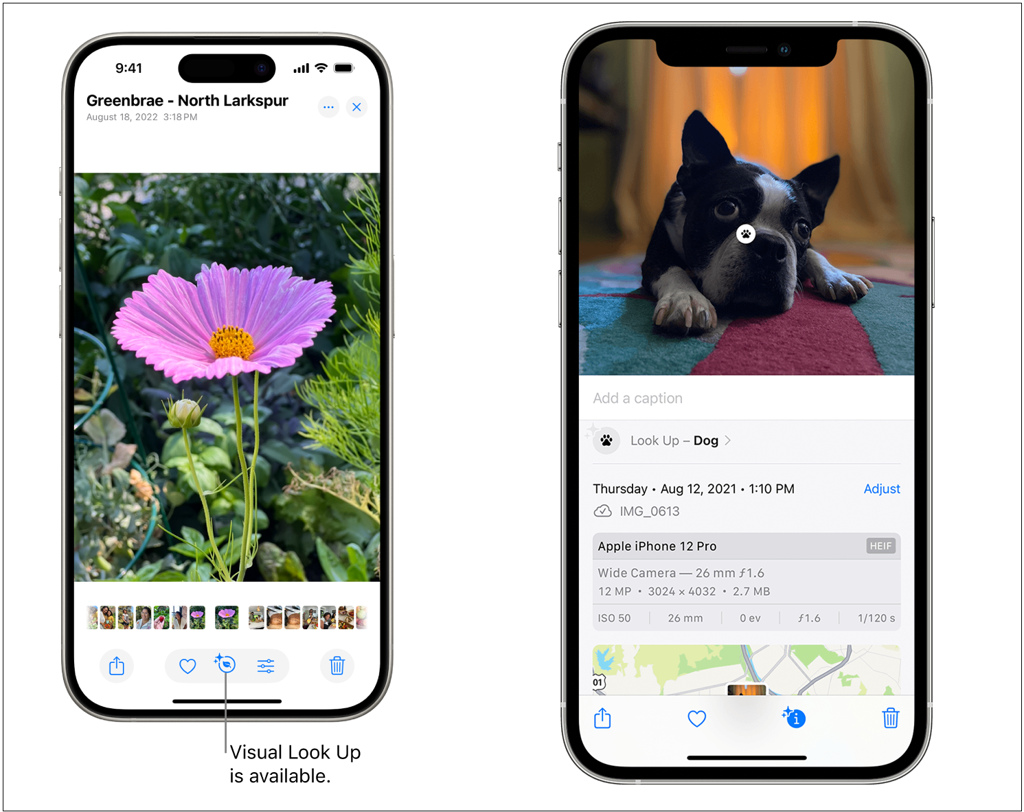 106 Next Level iPhone Tricks: Move Your Keyboard, Take Long Screenshots, and More