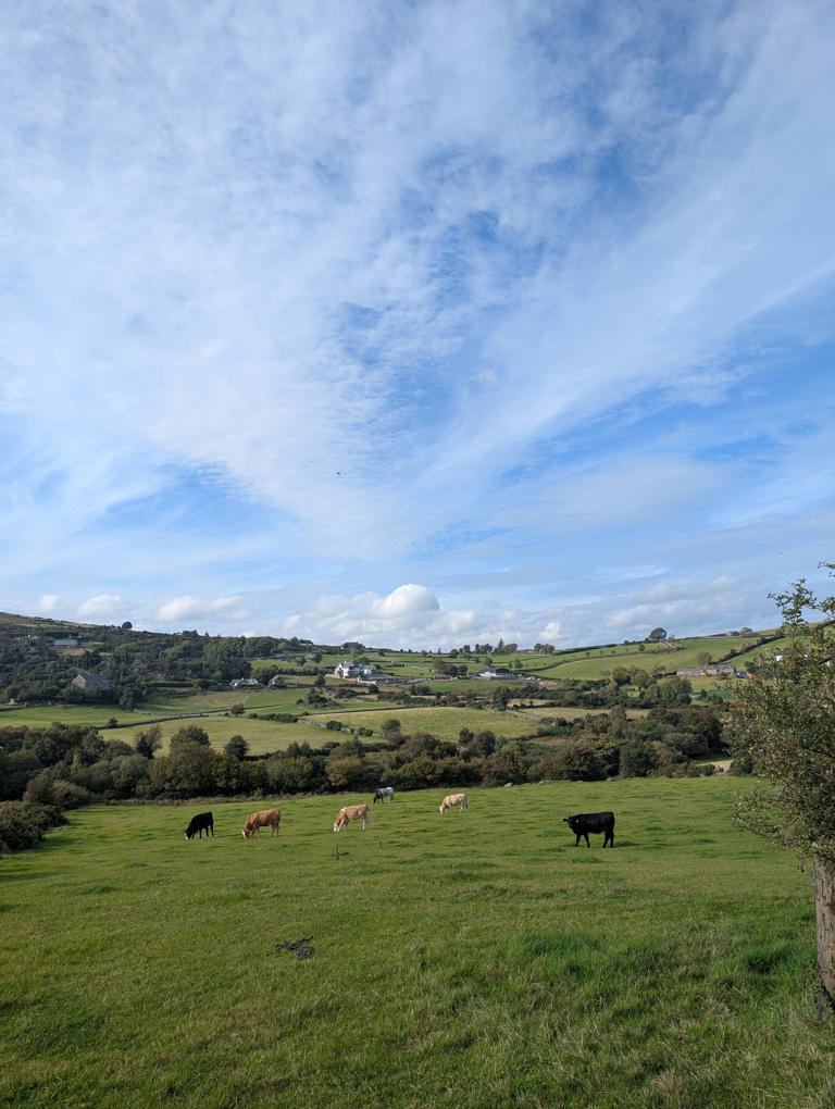 Saint Patrick’s Way: the pilgrimage route promising a very personal journey