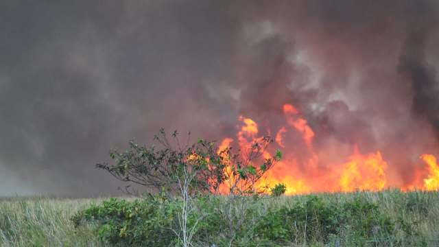 Massive wildfire rages through US national preserve: 'Getting burned ...