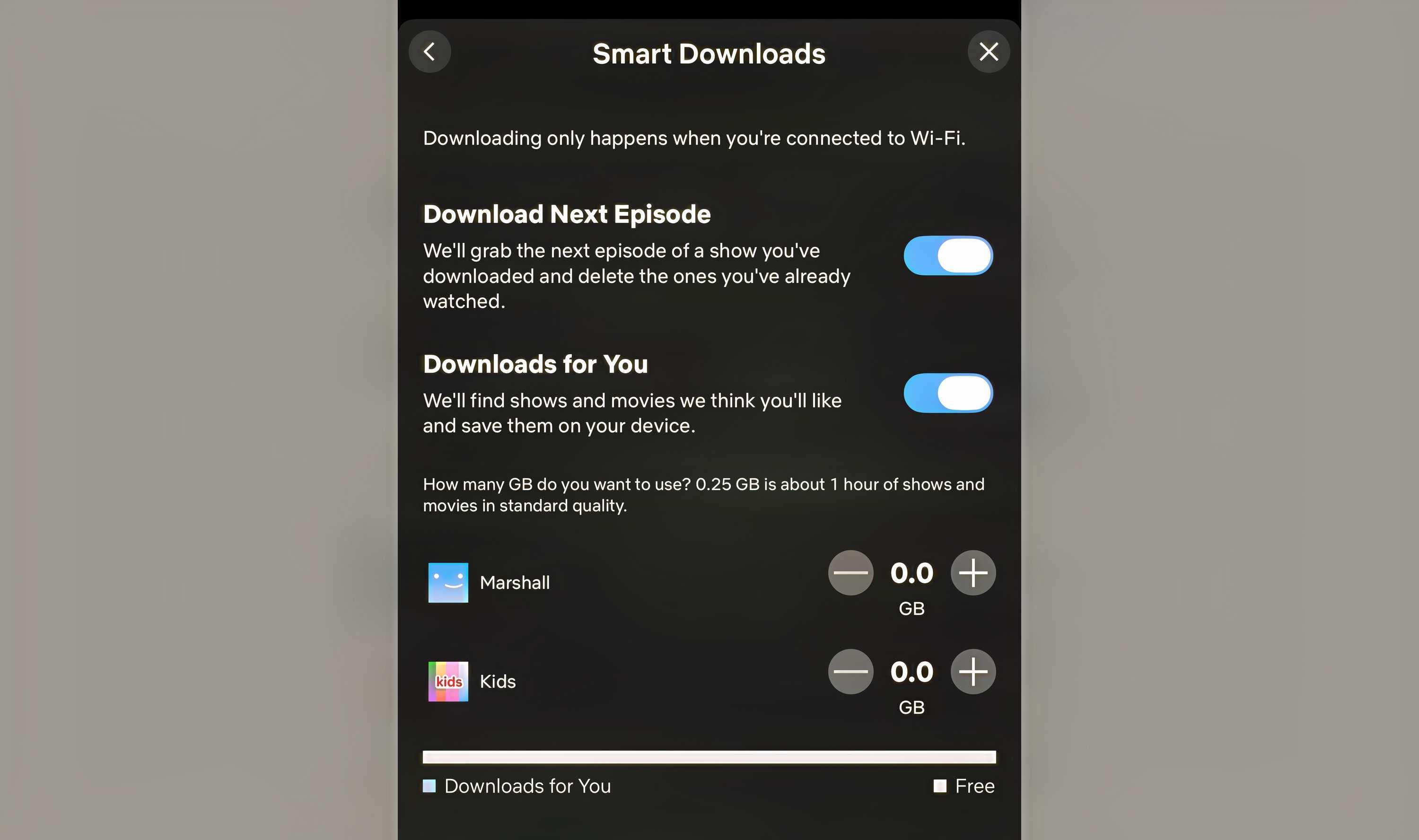The Smart Downloads option in Netflix