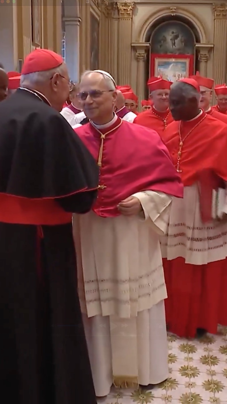 Cardinal found with phone during secret conclave to elect Pope Leo ...