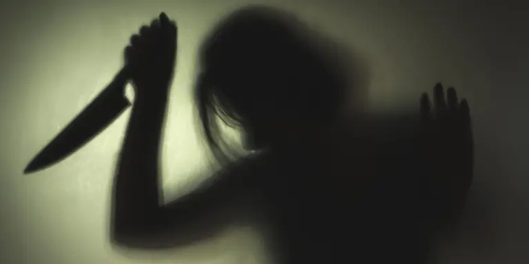 Florida woman charged with attempted murder in stabbing of daughter’s ...