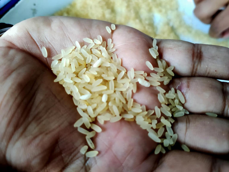 Years after giving fortified rice as ration to the poor, govt halts scheme