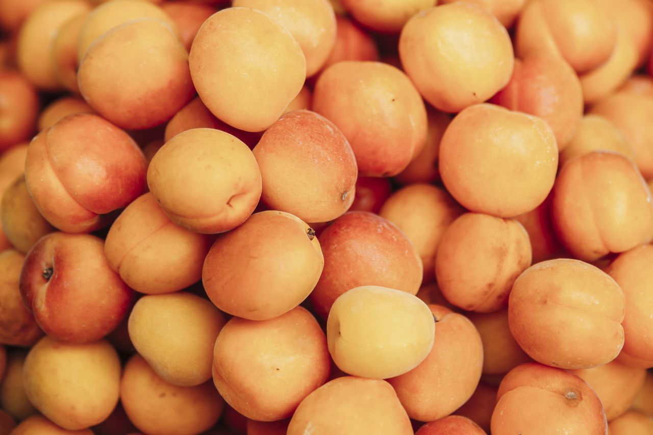 Apricots