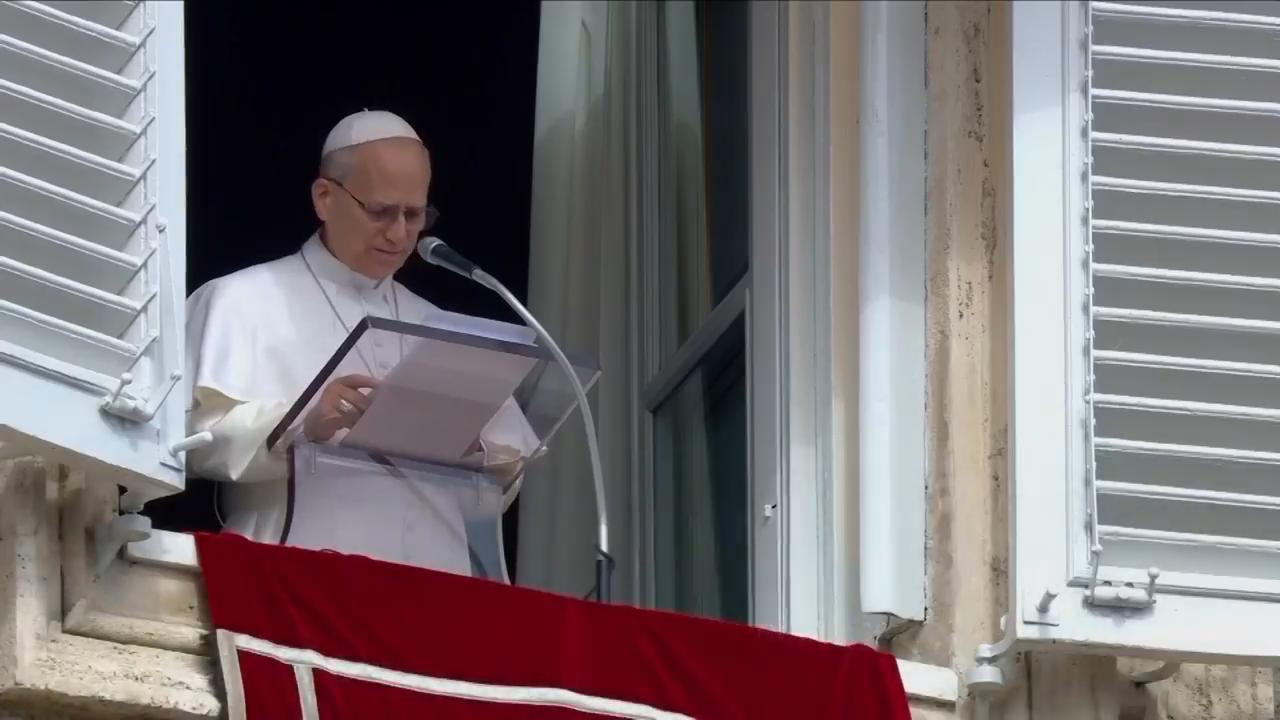 Pope expresses deep concern about strikes on Iran<br><br>