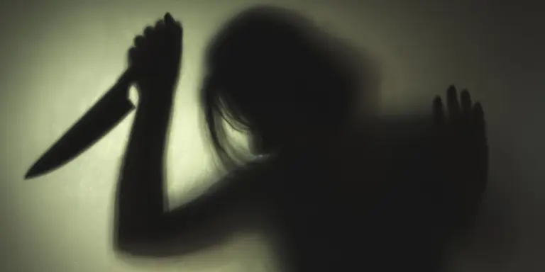 Florida woman charged with attempted murder in stabbing of daughter’s ...
