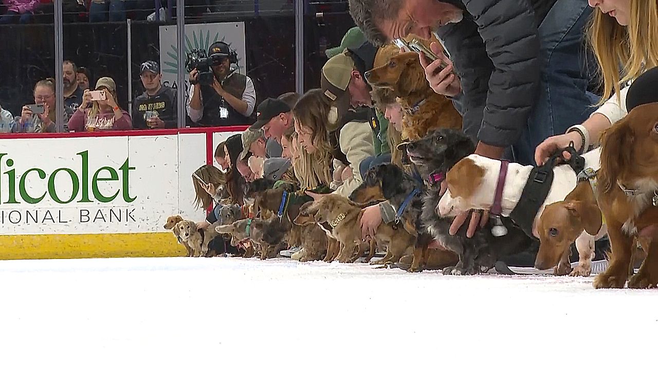 Wisconsin ice hockey center hosts wiener dog race