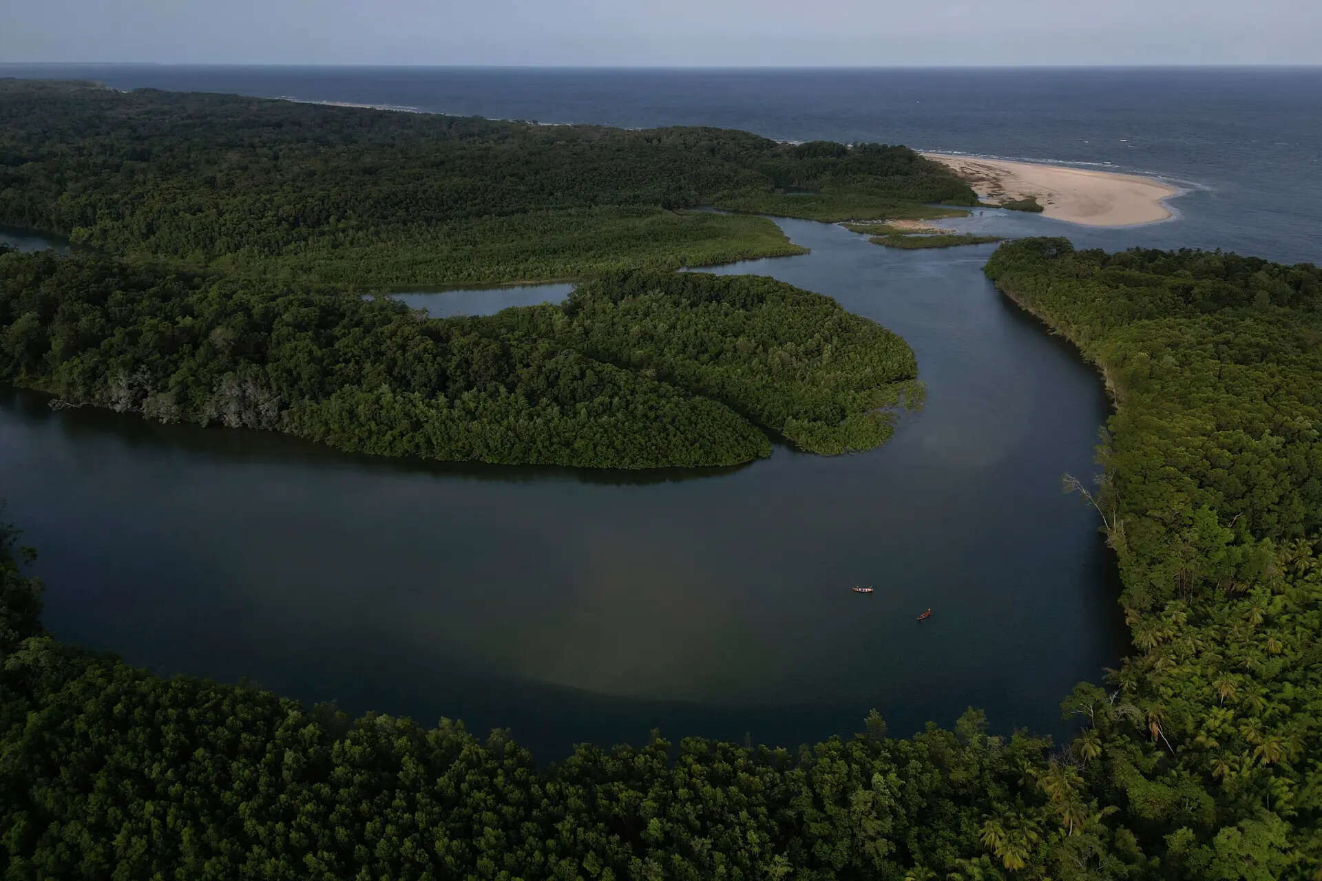Sahara’s dust fuels Amazon’s survival