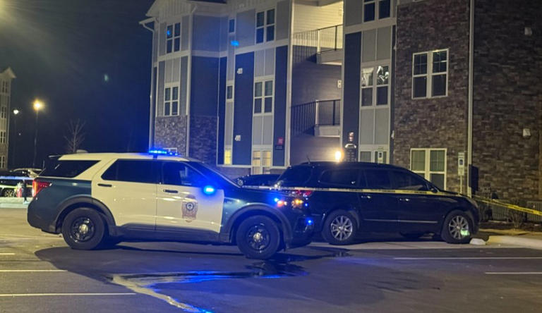Woman charged with murder after man found dead in car in North Carolina ...