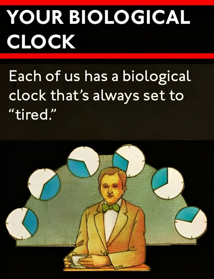 These confusing 'science facts' challenge your knowledge in a hilarious way