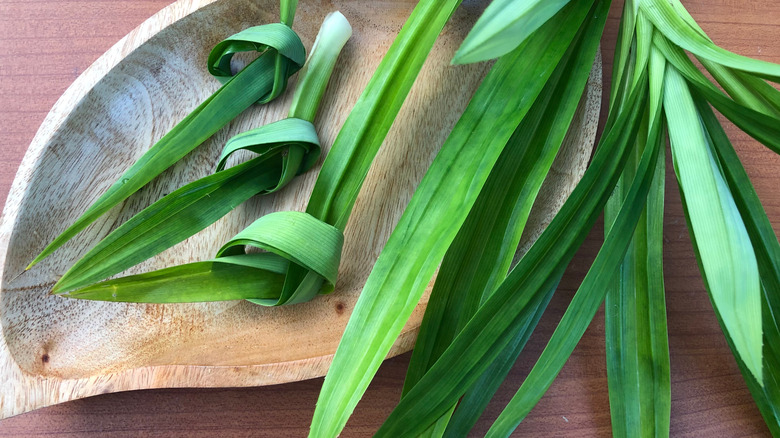 What is pandan and how do you use it?