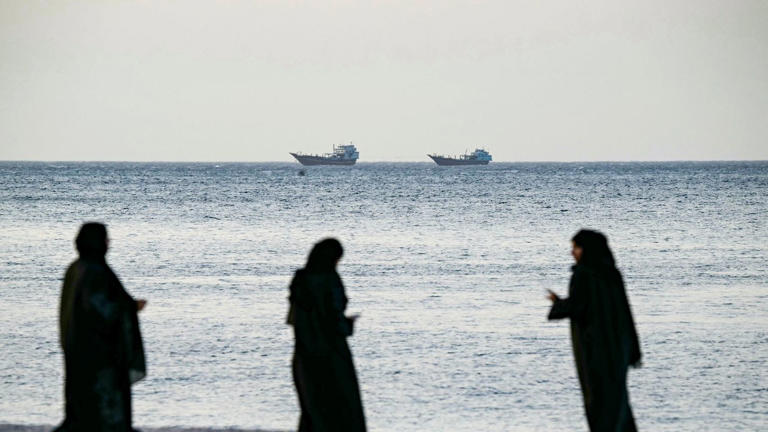 Oil prices fallout: OPEC producers boost output after Iran strikes