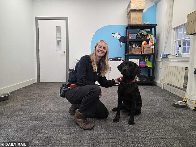 Meet the 'dog matchmaker' who matches guide dog puppies with visually ...