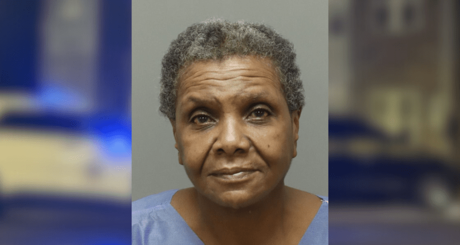 Raleigh woman charged with murder after man found dead in car near New ...