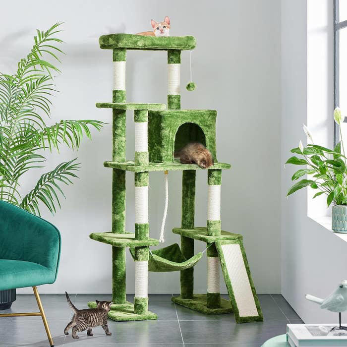 Cat trees are actually really important for cats' well-being, according ...