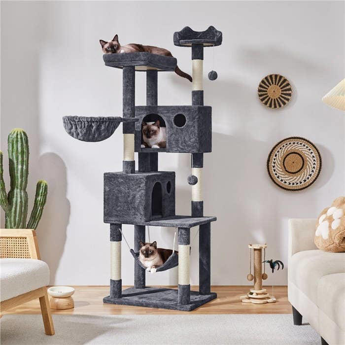 Cat trees are actually really important for cats' well-being, according ...
