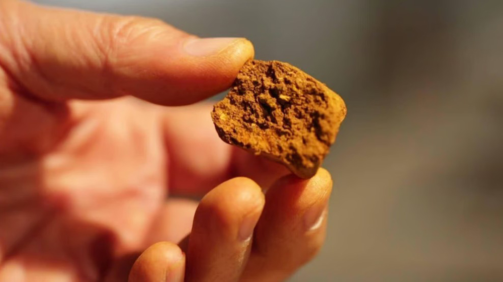 Sự thật về bài thuốc cấp cứu đột quỵ 'huyền thoại'