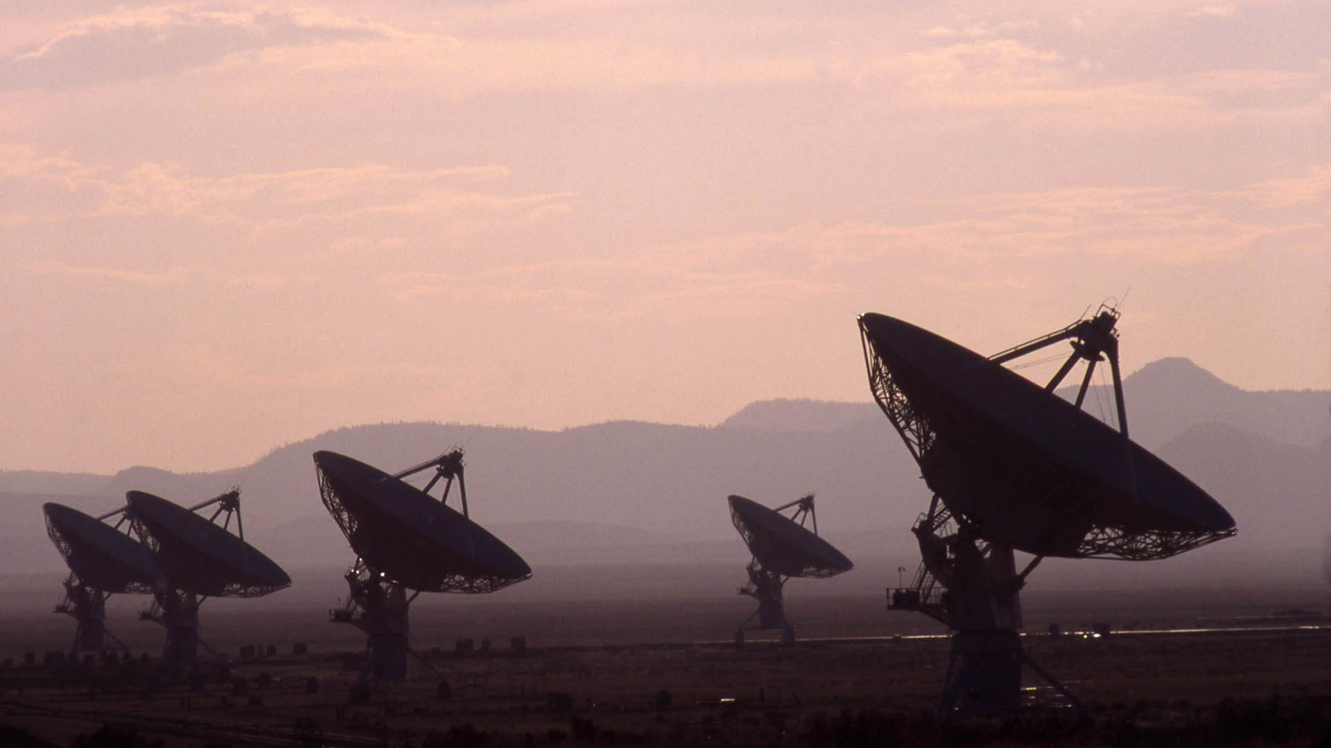 Offici&euml;le onderzoeken