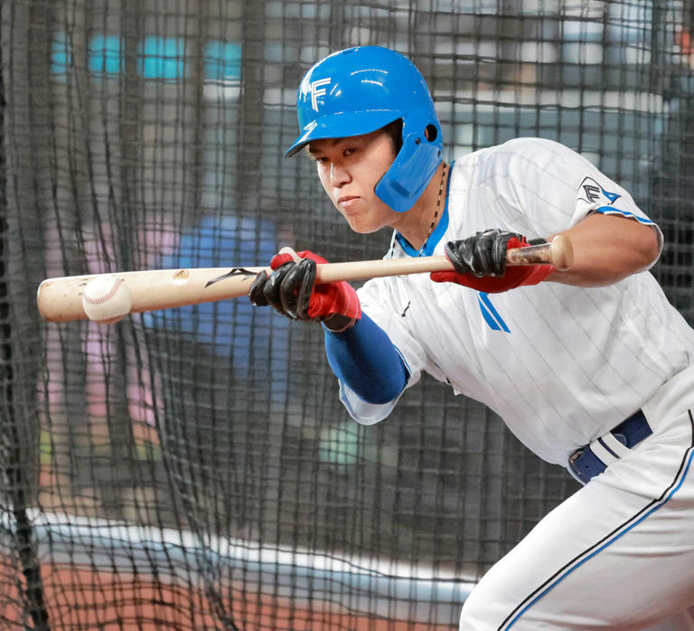 １軍に合流しバント練習を行う今川優馬