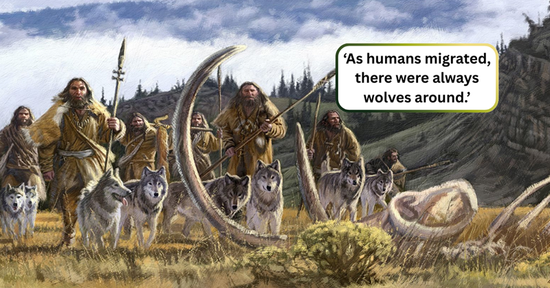What were the earliest human-wolf relations, and what both species ...