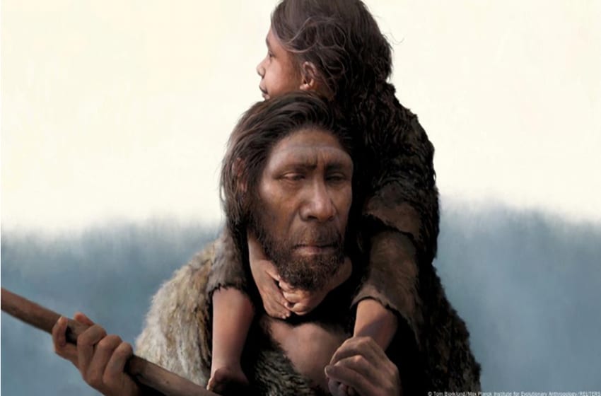 Study: Neanderthal-human interbreeding mostly male Neanderthals, female ...