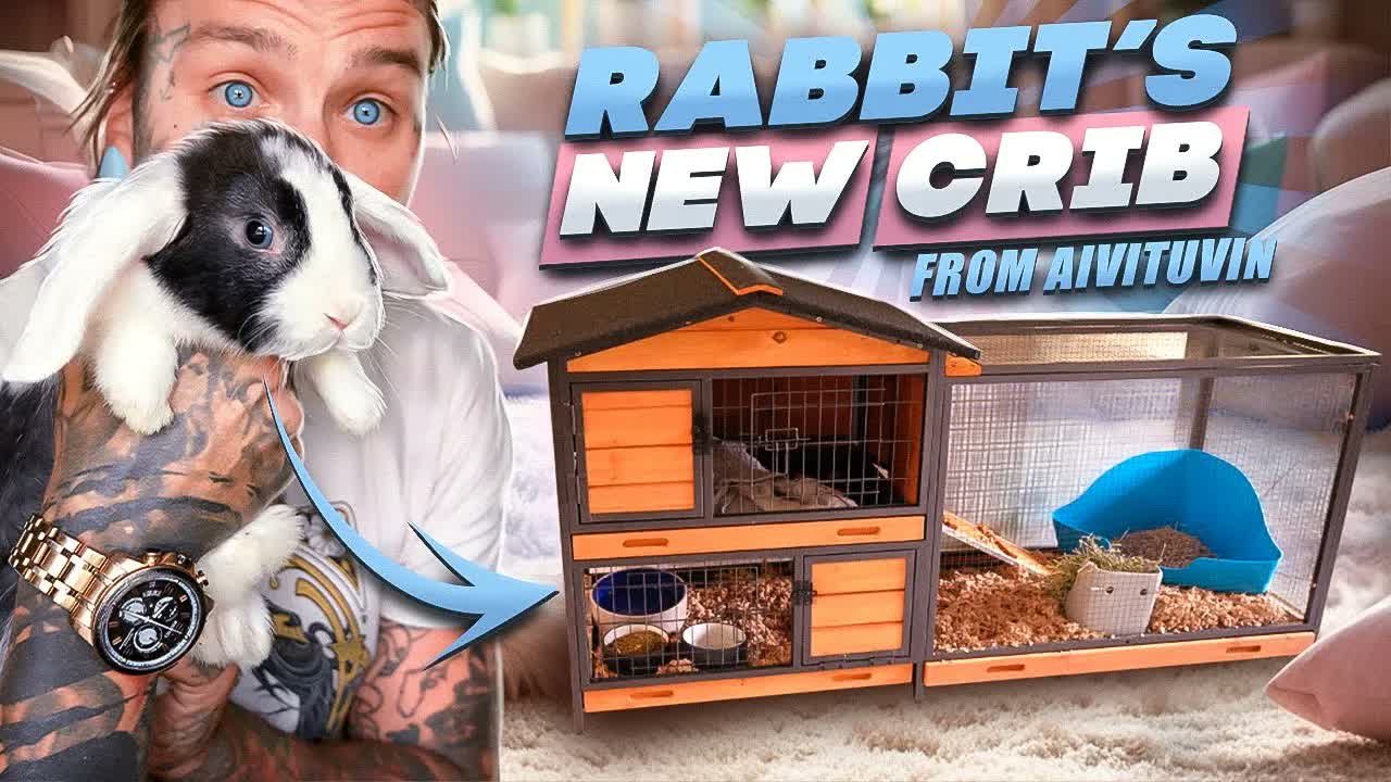 Finding the perfect online rabbit enclosure