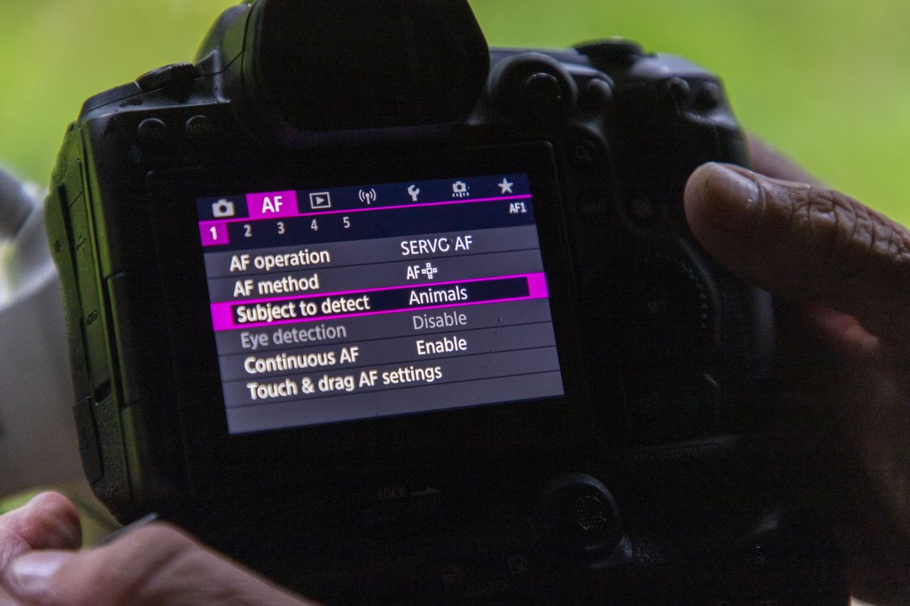 I'm sorry to break this to you, but your mirrorless camera probably ...