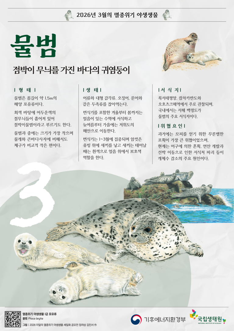 봄이면 백령도 찾아오는 '점박이' 이 얼굴···물범, 3월의 멸종위기 야생생물 선정